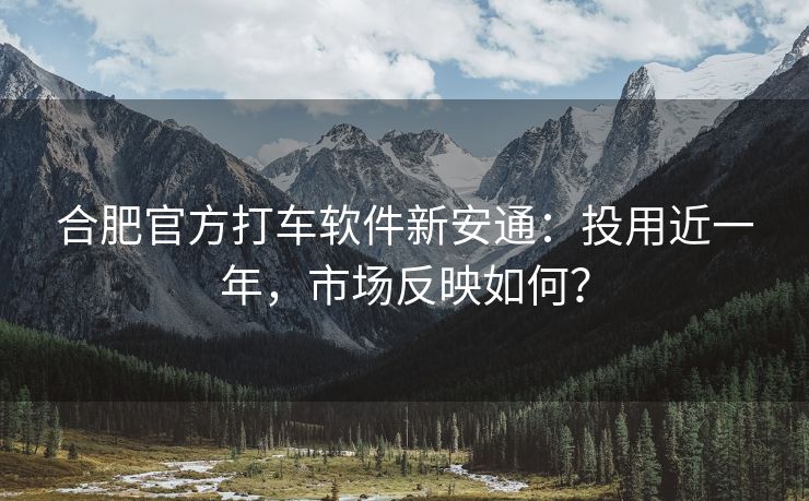 合肥官方打车软件新安通:投用近一年,市场反映如何? 合肥官方打车软件新安通:投用近一年,市场反映如何?