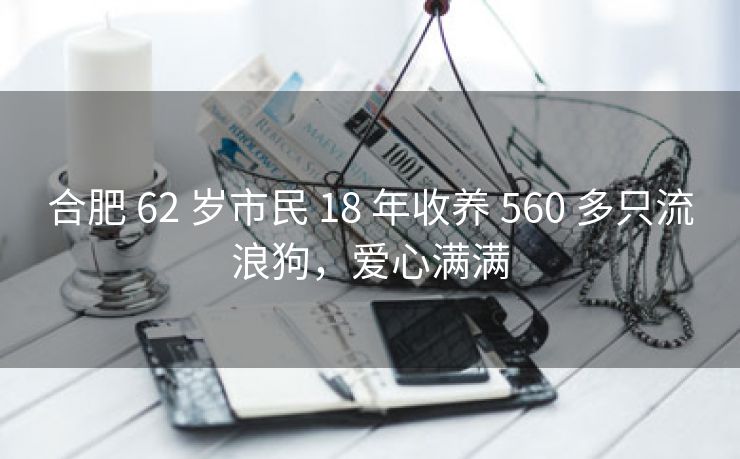 合肥 62 岁市民 18 年收养 560 多只流浪狗,爱心满满 合肥 62 岁市民 18 年收养 560 多只流浪狗,爱心满满