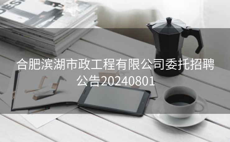 合肥滨湖市政工程有限公司委托招聘公告20240801 合肥滨湖市政工程有限公司委托招聘公告20240801