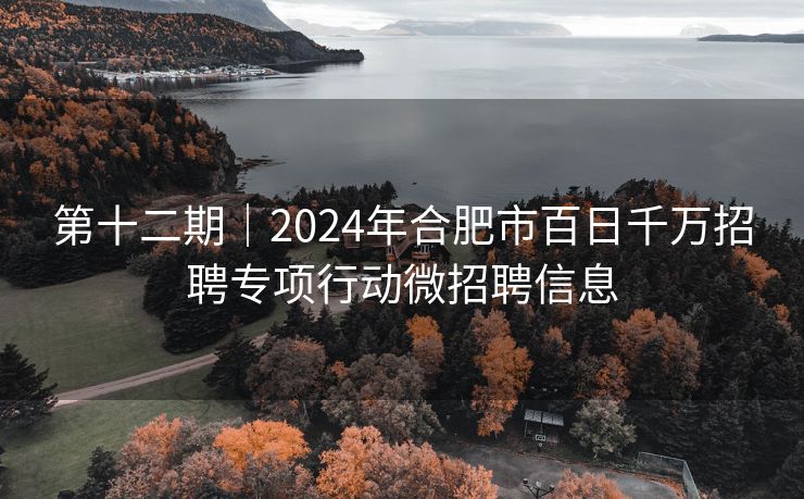 第十二期|2024年合肥市百日千万招聘专项行动微招聘信息 第十二期|2024年合肥市百日千万招聘专项行动微招聘信息