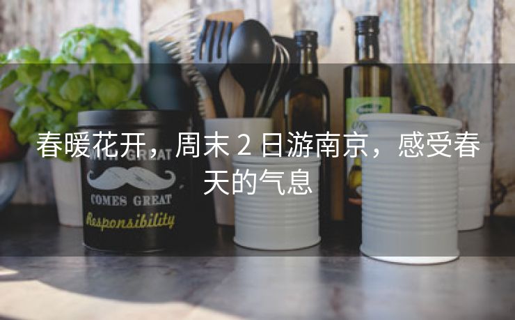 春暖花开,周末 2 日游南京,感受春天的气息 春暖花开,周末 2 日游南京,感受春天的气息