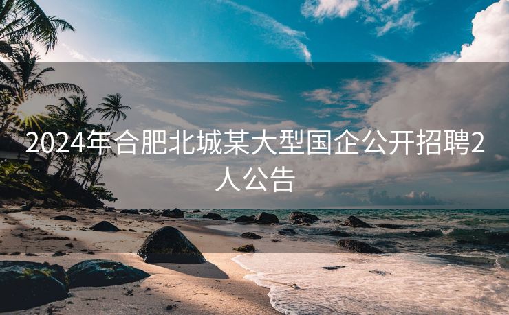 2024年合肥北城某大型国企公开招聘2人公告 2024年合肥北城某大型国企公开招聘2人公告