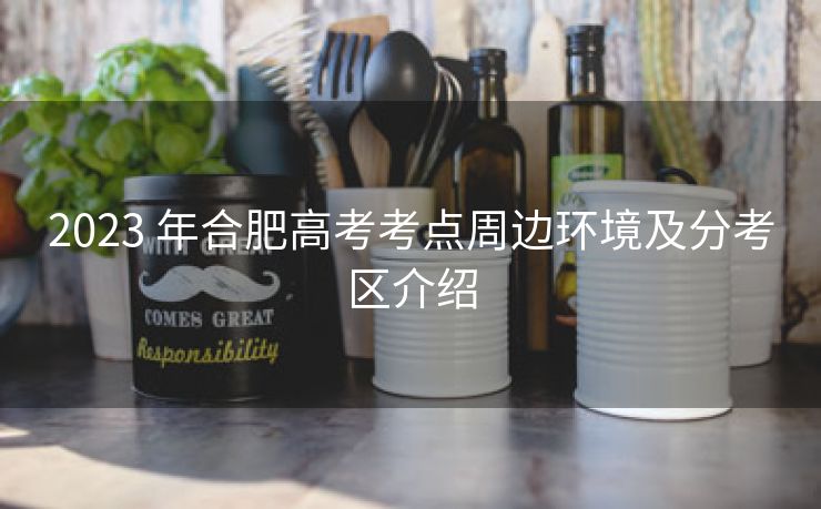 2023 年合肥高考考点周边环境及分考区介绍 2023 年合肥高考考点周边环境及分考区介绍