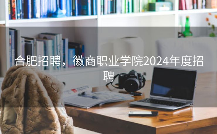 合肥招聘，徽商职业学院2024年度招聘