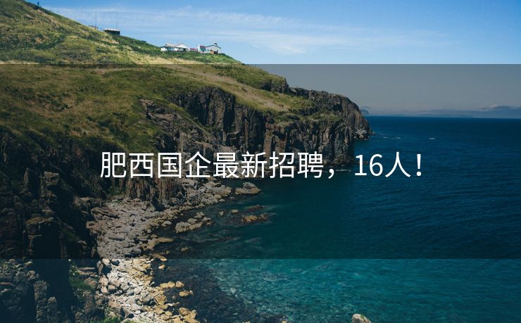 肥西国企最新招聘，16人！