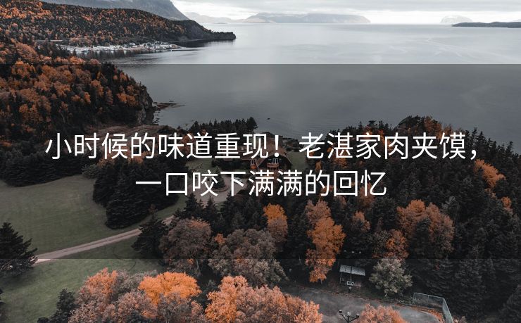 小时候的味道重现!老湛家肉夹馍,一口咬下满满的回忆 小时候的味道重现!老湛家肉夹馍,一口咬下满满的回忆