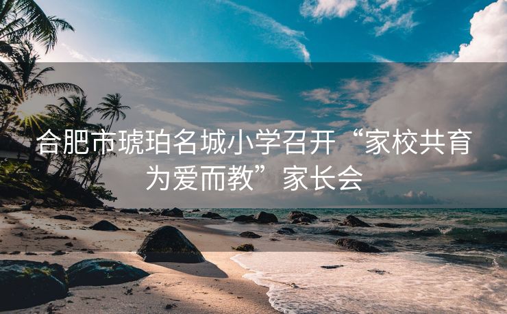 合肥市琥珀名城小学召开“家校共育为爱而教”家长会 合肥市琥珀名城小学召开“家校共育为爱而教”家长会