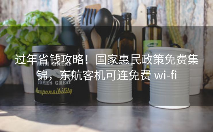 过年省钱攻略!国家惠民政策免费集锦,东航客机可连免费 wi-fi 过年省钱攻略!国家惠民政策免费集锦,东航客机可连免费 wi-fi