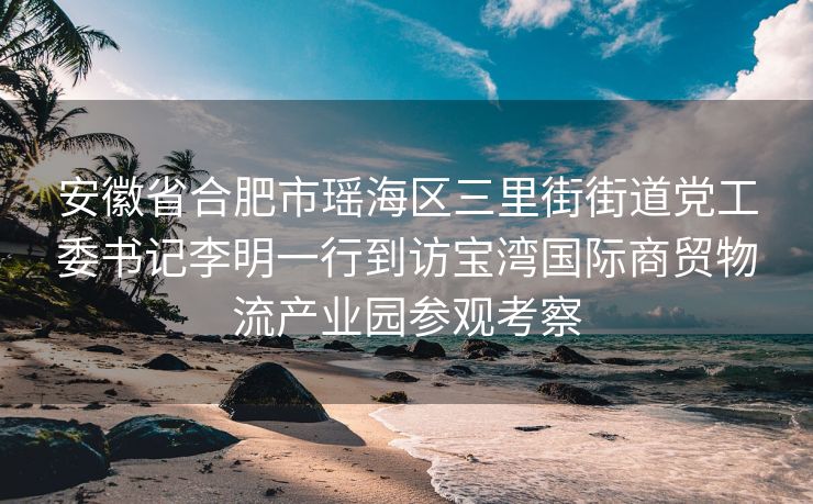安徽省合肥市瑶海区三里街街道党工委书记李明一行到访宝湾国际商贸物流产业园参观考察 安徽省合肥市瑶海区三里街街道党工委书记李明一行到访宝湾国际商贸物流产业园参观考察