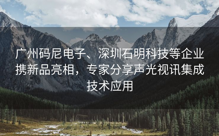 广州码尼电子、深圳石明科技等企业携新品亮相，专家分享声光视讯集成技术应用