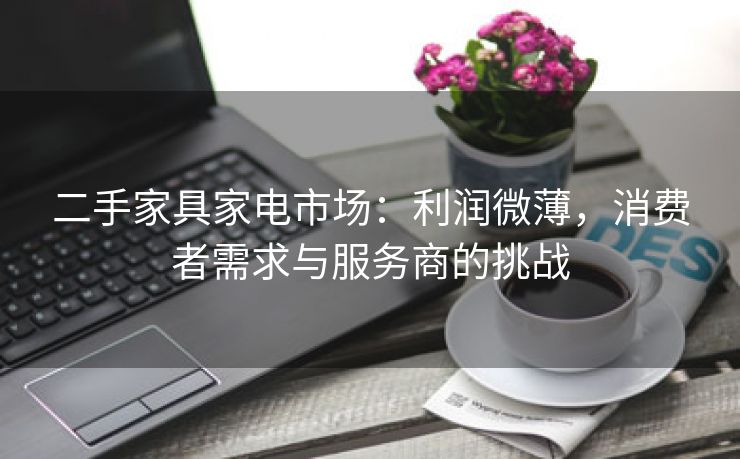 二手家具家电市场:利润微薄,消费者需求与服务商的挑战 二手家具家电市场:利润微薄,消费者需求与服务商的挑战
