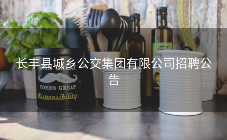长丰县城乡公交集团有限公司招聘公告 长丰县城乡公交集团有限公司招聘公告