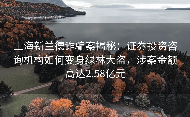 上海新兰德诈骗案揭秘:证券投资咨询机构如何变身绿林大盗,涉案金额高达2.58亿元 上海新兰德诈骗案揭秘:证券投资咨询机构如何变身绿林大盗,涉案金额高达2.58亿元