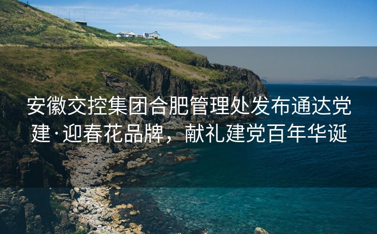安徽交控集团合肥管理处发布通达党建·迎春花品牌,献礼建党百年华诞 安徽交控集团合肥管理处发布通达党建·迎春花品牌,献礼建党百年华诞