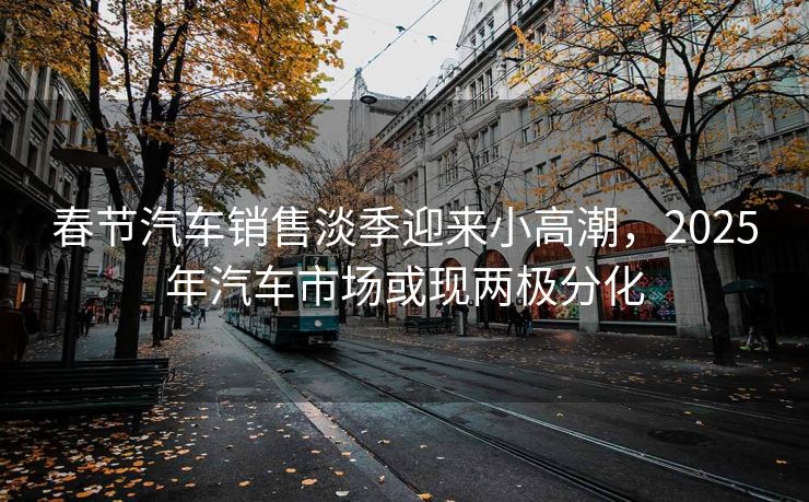 春节汽车销售淡季迎来小高潮，2025年汽车市场或现两极分化