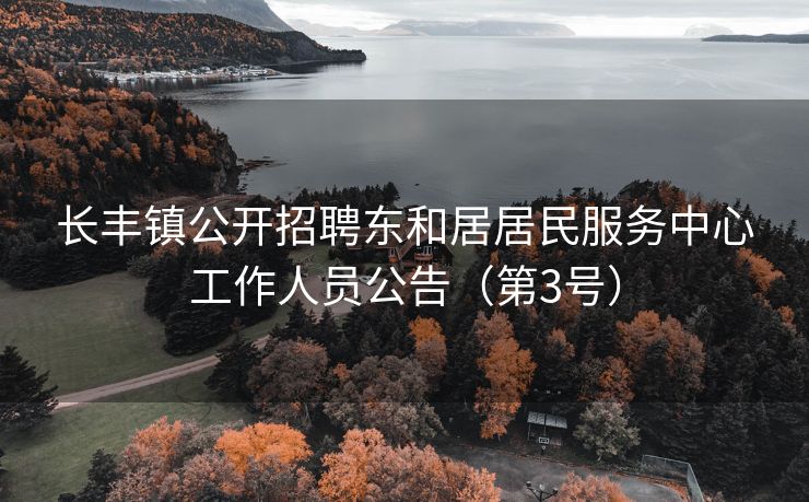 长丰镇公开招聘东和居居民服务中心工作人员公告(第3号) 长丰镇公开招聘东和居居民服务中心工作人员公告(第3号)