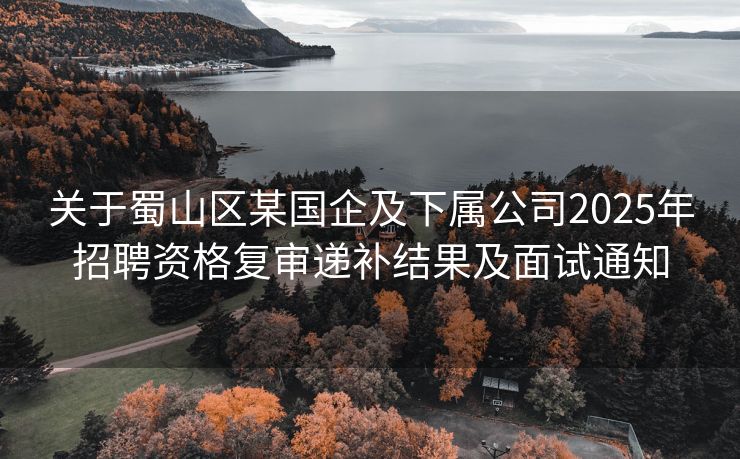 关于蜀山区某国企及下属公司2025年招聘资格复审递补结果及面试通知