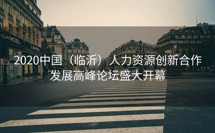 2020中国(临沂)人力资源创新合作发展高峰论坛盛大开幕 2020中国(临沂)人力资源创新合作发展高峰论坛盛大开幕