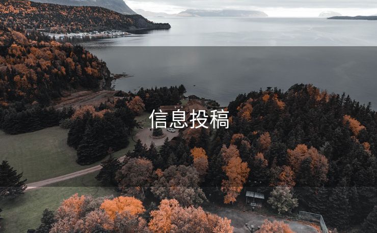 信息投稿